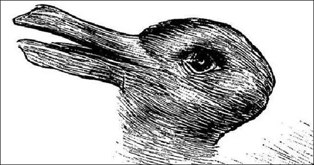 eend-konijn-ilussie